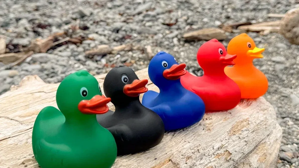 Green, black, blue, red and orange rubber ducks lined up on driftwood, the small ducks used for Jeep ducking