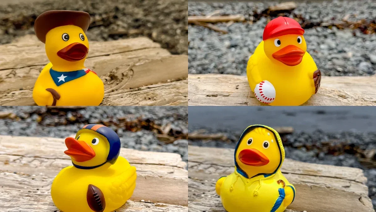 Themed rubber ducks on driftwood: a cowboy duck, a baseball duck, a football duck and a rain gear duck