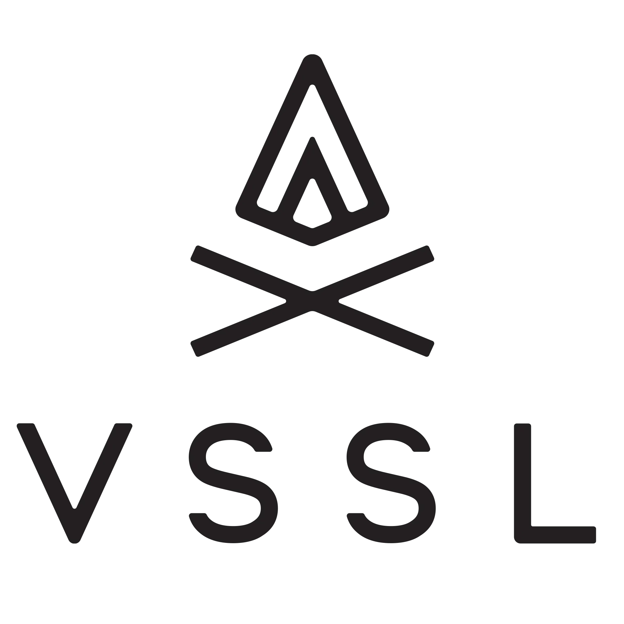 VSSL promotional products