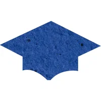 Graduation Hat shape
