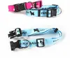 Custom Poly Dog Collar - 1" x 22"