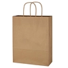 10" x 13" Kraft Paper Bag