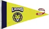 2.5' x 4' Nylon Pennant Flag Double-Sided