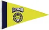 2.5' x 4' Nylon Pennant Flag Single-Sided