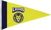 2.5' x 4' Nylon Pennant Flag Single-Sided