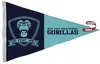 2' x 3' Nylon Pennant Flag Double-Sided