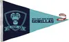 2' x 3' Nylon Pennant Flag Double-Sided