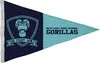 2' x 3' Nylon Pennant Flag Single-Sided