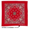 Custom Paisley Bandana (22")