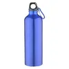 25 Oz Aluminum Sports Bottle With Twist Off Lid & Carabiner