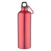 25 Oz Aluminum Sports Bottle With Twist Off Lid & Carabiner