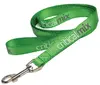 Custom Nylon Dog Leash - 3/4" x 60"