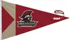 3' x 5' Nylon Pennant Flag Double-Sided