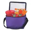 6-Pack Cooler