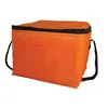 6 Pack Cooler Bag - Polyester Insulated Lunch Bag