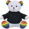 Promotional Rainbow Bear - 6"