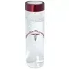 600 Ml. (20 Fl. Oz.) Single Wall Borosilicate Glass Bottle