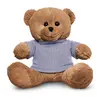 8.5" Plush Bear with T-Shirt