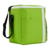 Accent Recycled 12 Can Lunch Cooler