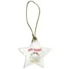 Acrylic Star Ornament