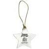 Acrylic Star Ornament