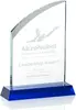 Blue Crystal Allingham Custom Award