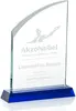 Blue Crystal Allingham Custom Award