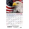 America! Wall Calendar: 2025 Spiral Bound