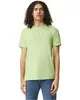 American Apparel Unisex CVC T-Shirt