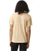American Apparel Unisex Triblend Short-Sleeve Track T-Shirt