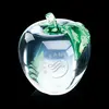 Customizable Glass Apple Paperweight with Etching