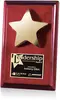 Custom Star Plaque with High-Gloss Finish