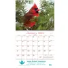 Backyard Birds Wall Calendar: 2024 Spiral Bound