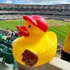 Baseball Duck