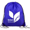 Big Draw RPET Drawstring Backpack