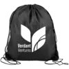 Big Draw RPET Drawstring Backpack