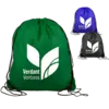 Big Draw RPET Drawstring Backpack