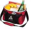 Branded Biggie Cooler Bag for Marketing