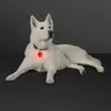 Blinking Heart Dog Light and Keychain