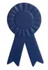 Personalized Blue Ribbon Stress Reliever