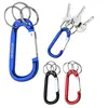 Carabiner and Split Ring Combo