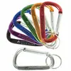 Customized Carabiner Keytag