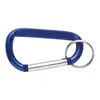 Carabiners With Keyring