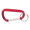 Carabiners With Keyring