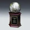 Custom Cast Globe Achievement Award on Walnut Base