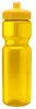 Champ Bottle with Push-Pull Lid (28 oz.)