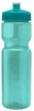 Champ Bottle with Push-Pull Lid (28 oz.)