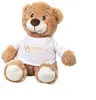 Chester the Teddy Bear (with T-Shirt)