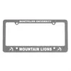 Custom License Frame (4 Holes)