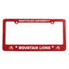 Custom License Frame (4 Holes)